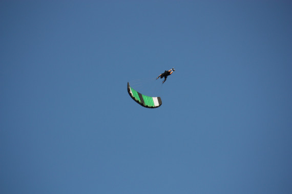 Deutschen Meister im Canopy Piloting ermittelt