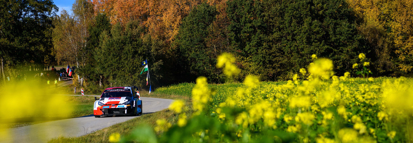 Für ihr Konzept erhielt die Central European Rally die FIA Nachhaltigkeits-Akkreditierung